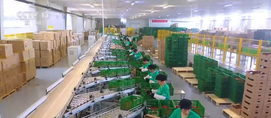 100億、10億、8.7萬億!鄉(xiāng)村特色產(chǎn)業(yè)領(lǐng)域拓寬 發(fā)展韌性強(qiáng)