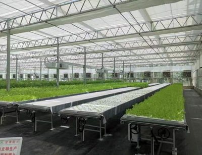 江蘇省鄉村發展基金會官方網站