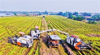 新農民與新業(yè)態(tài) 農村與農業(yè)的新圖景 新型職業(yè)農民與 新農民 將打造農業(yè)新業(yè)態(tài)