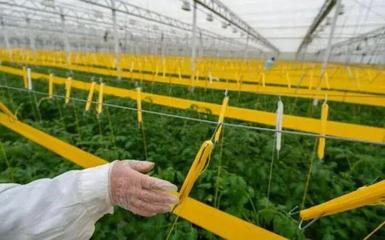 補貼上百萬!數字農業工廠:智能化、自動化的農業生產新模式