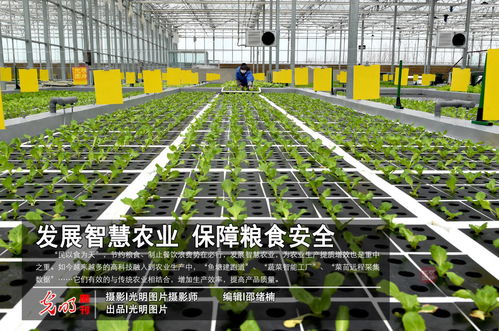 發(fā)展智慧農(nóng)業(yè) 保障糧食安全