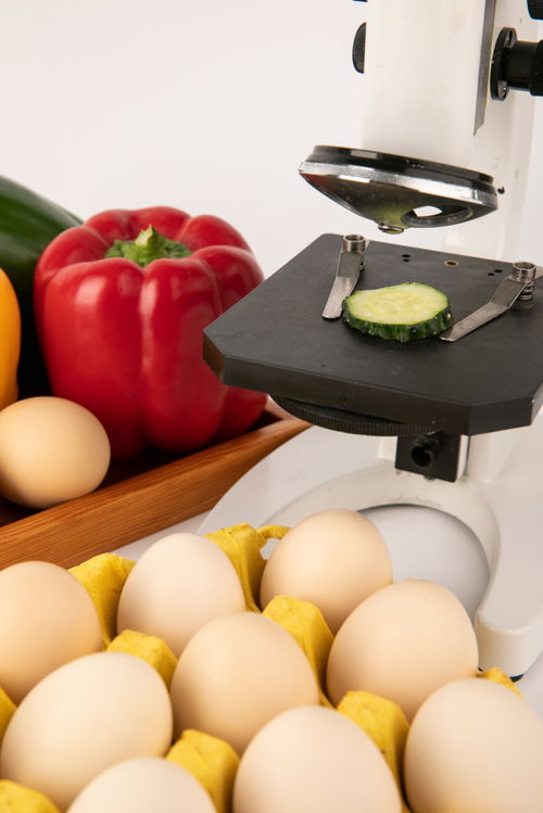 甜椒雞蛋食品安全農業科技食品培育攝影圖 插畫 下載至來源處