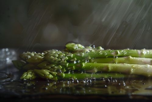 農產品成熟營養蔬菜蘆筍圖片攝影圖 廣告素材 下載至來源處
