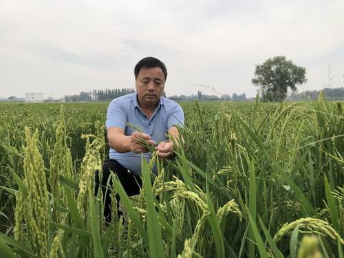 五里源 富硒大米 地域特色產品 優質農業代表