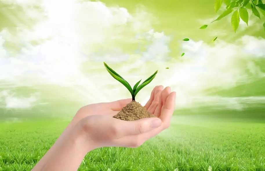 行業(yè)|&ldquo;不正經(jīng)&rdquo;的綠色農業(yè)