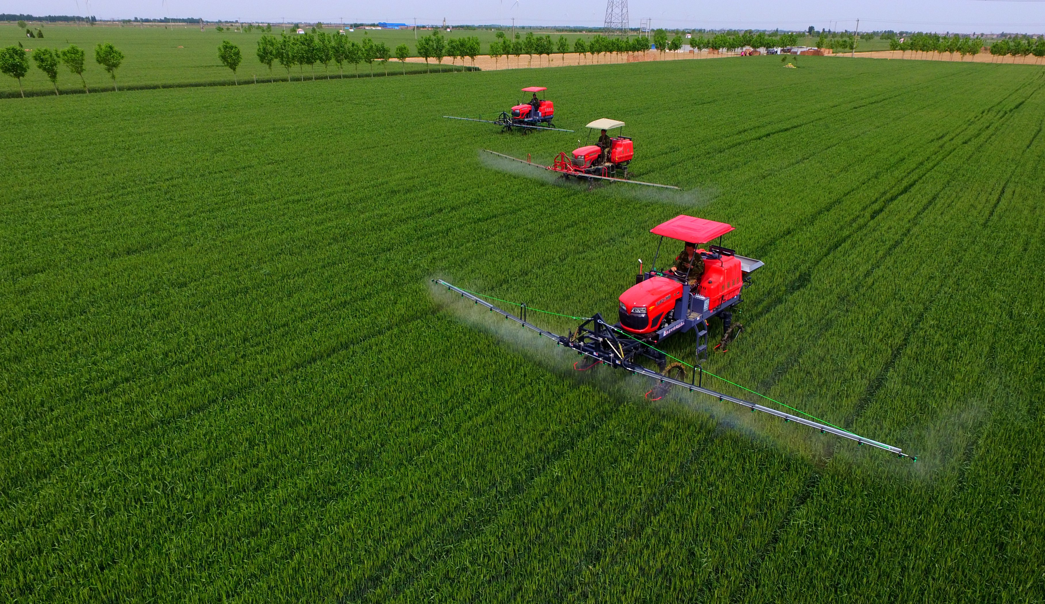 夏糧豐收在望 農業(yè)&ldquo;壓艙石&rdquo;穩(wěn)固--鄉(xiāng)村振興不斷夯實經(jīng)濟社會發(fā)展根基