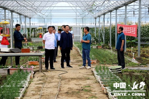 河南建業集團考察調研新野縣特色農業產業項目建設工作