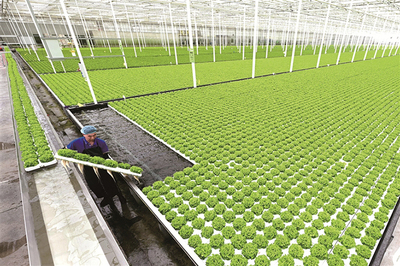 [中央紀(jì)委國(guó)家監(jiān)委網(wǎng)站]兩會(huì)觀察丨大國(guó)強(qiáng)農(nóng)向新行