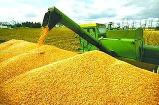 順應(yīng)我省農(nóng)業(yè)供給側(cè)結(jié)構(gòu)性改革大潮 打造新型農(nóng)產(chǎn)品經(jīng)紀人