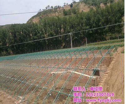 安陽(yáng)豐源農(nóng)業(yè)與廣安鋼結(jié)構(gòu)大棚建設(shè) 現(xiàn)代農(nóng)業(yè)的堅(jiān)實(shí)支柱