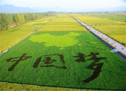 農(nóng)業(yè)部印發(fā)《關(guān)于大力發(fā)展休閑農(nóng)業(yè)的指導(dǎo)意見》 推動(dòng)農(nóng)業(yè)轉(zhuǎn)型升級與鄉(xiāng)村振興新引擎