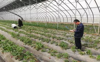 農(nóng)產(chǎn)品抽檢筑牢安全防線 親子運(yùn)動(dòng)會共繪社區(qū)春色——合陽金水社區(qū)近期活動(dòng)側(cè)記