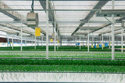 飯碗端得更牢 餐桌更加豐富——“十四五”農(nóng)業(yè)高質(zhì)量發(fā)展答卷