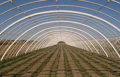 安陽市佳和農(nóng)業(yè) 專業(yè)品質(zhì)，護(hù)航現(xiàn)代農(nóng)業(yè)——大棚配件廠家的卓越實(shí)踐