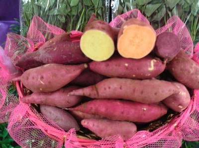 安吉綠耕生態(tài)農(nóng)業(yè)發(fā)展 從“大番薯”看薯類作物的生態(tài)價(jià)值與產(chǎn)業(yè)未來